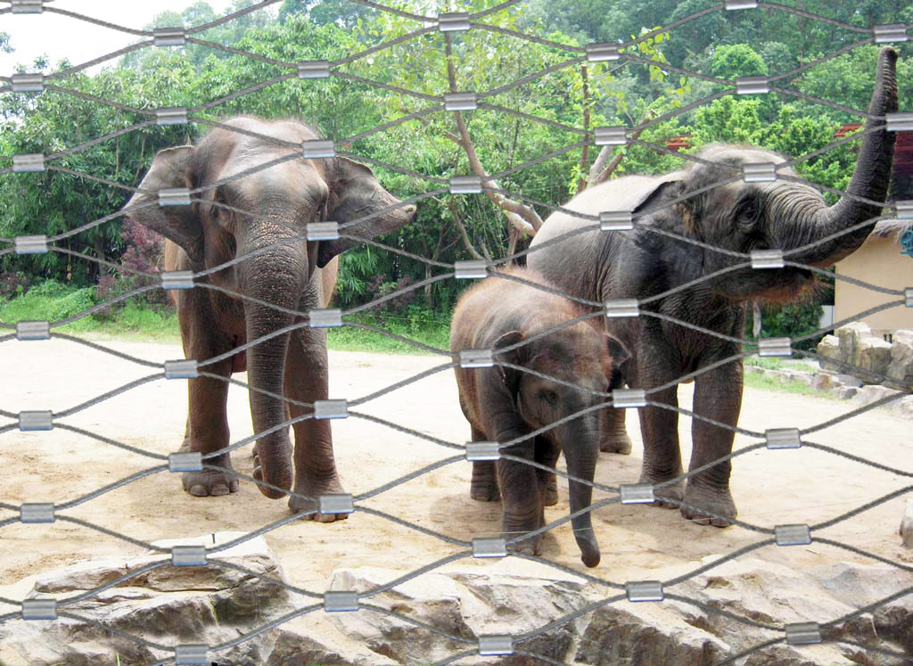 动物园围栏 动物园